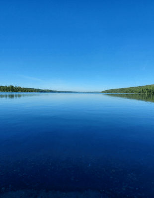 A serene lake surrounded by trees under a clear blue sky.