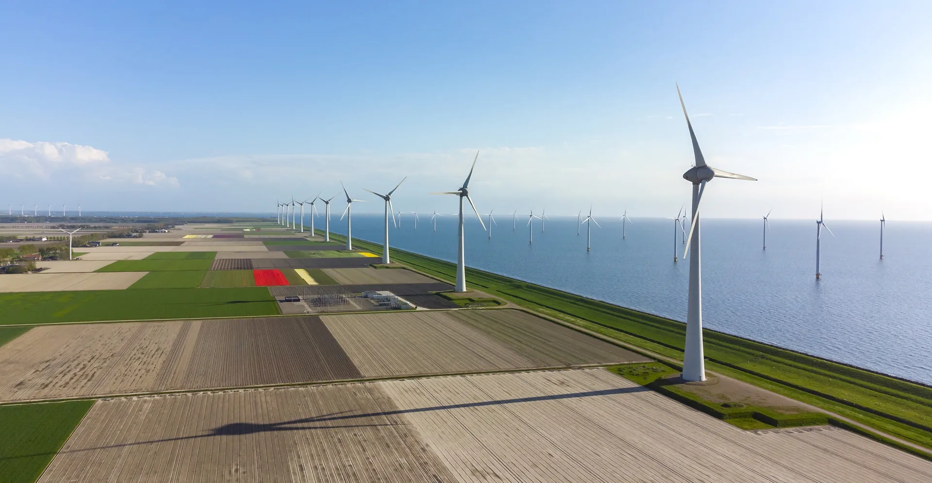 Wind turbines on the seaside farm